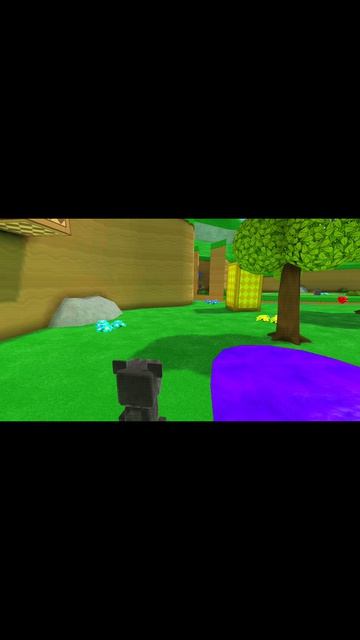 происшествие в городе медведей