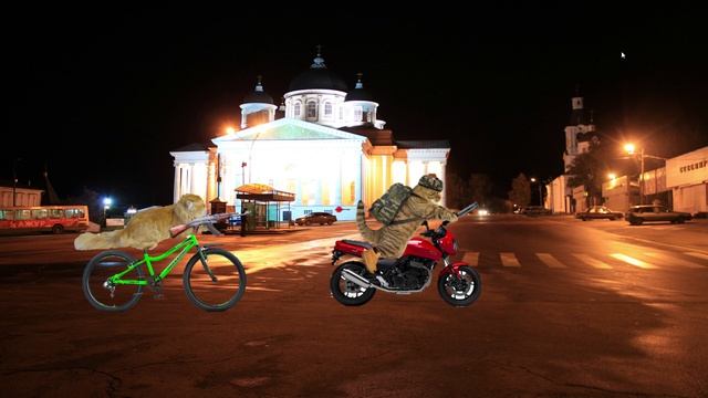 КРИМИНАЛЬНЫЕ КОТЫ 7 серия