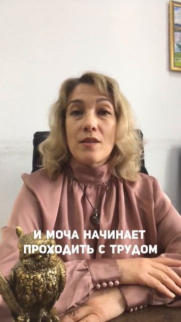 Осторожно велосипед!