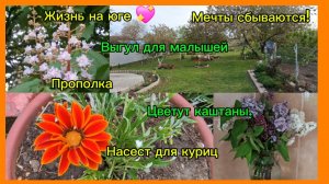 29-04-2026 Краснодарский край/Мечты сбываются!!!//Выгул для малышей//Насест для куриц//На участке//