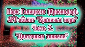 Парк Галицкого (Краснодар). АРТ-объект «Кроличья нора». Часть 2. «Цветочные тоннели»
