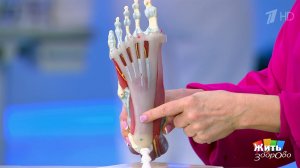 Пяточная шпора: быстро избавляемся от боли. Жить здорово! Фрагмент выпуска от 29.04.2026