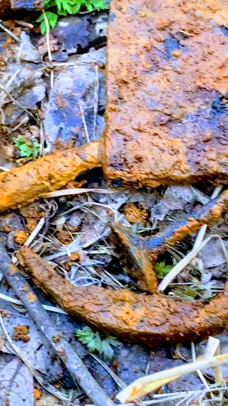 БОЛОТО УСЕЕННОЕ МЕТАЛЛОМ.КОПАЙ не ХОЧУ...Сижу монтирую видосскоро на РУТУБ