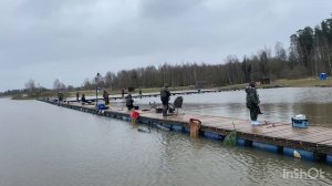 Ежедневный запуск форели