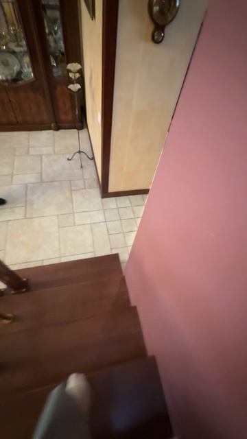 тайнхаус на ЗЖМ