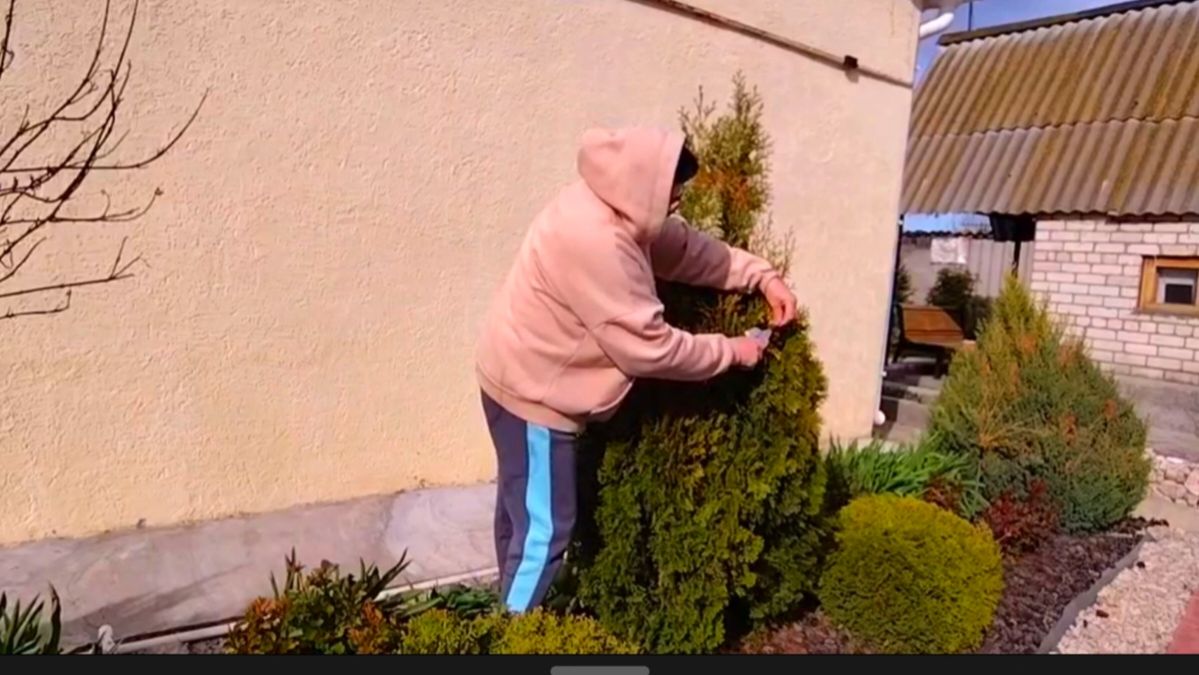 ЖИЗНЬ В СЕЛЕ:ВЫШЛА ТРАВУ ПРОПОЛОЛА/СРЕЗАЛА ВСЮ ЖЕЛТЕЗНУ