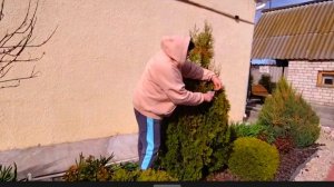 ЖИЗНЬ В СЕЛЕ:ВЫШЛА ТРАВУ ПРОПОЛОЛА/СРЕЗАЛА ВСЮ ЖЕЛТЕЗНУ