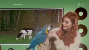 Евровидение 2021 второй полуфинал.