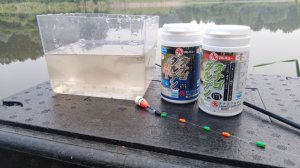 ТАНАГО ПЕРВАЯ ПРОБА