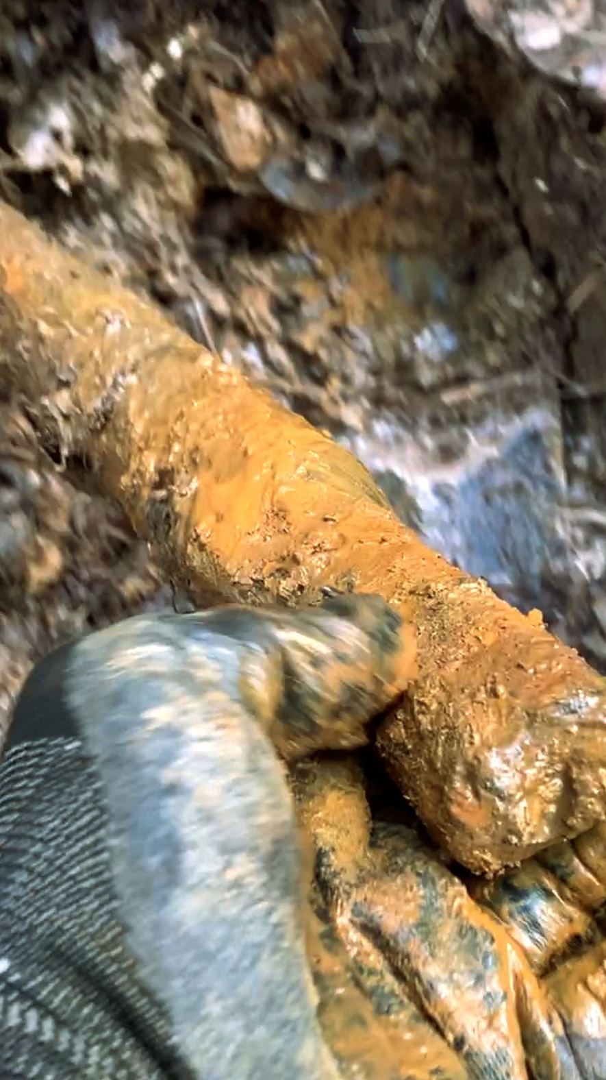 МЕТАЛЛОКОП 2026!!! А вы бы стали в такой чаче ковыряться?