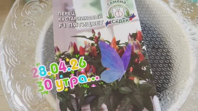 28..04.26🌸Оранжерея-хроника, суета🌸