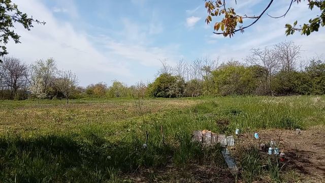 Большое видео болталочка! Природа юг России🌴.