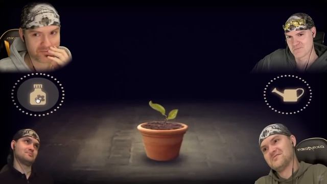 Реакция на митозу