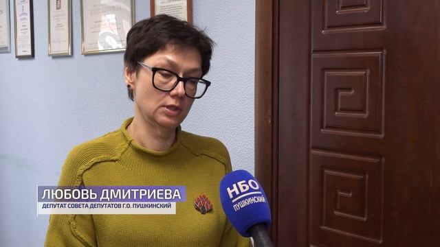 В Пушкино провели встречу на тему здравоохранения.