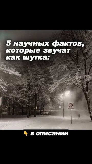 5 научных фактов, которые звучат как шутка