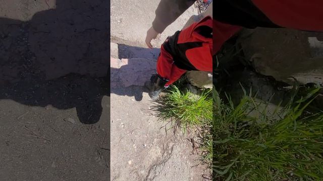 стройка второго этажа часть первая