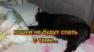 ПРИКОЛЬНАЯ ОЗВУЧКА.