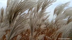 Прогулка по Октябрю...(Донецк)