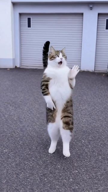 Всем отличного настроения!😍