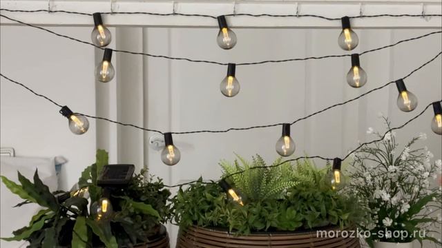 Декоративная гирлянда на солнечной батарее Solar ИСТБОРН ДАМЧАТЫЙ 20 ламп AF5600120