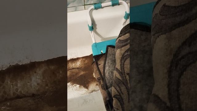 тренировка с бытовым значением