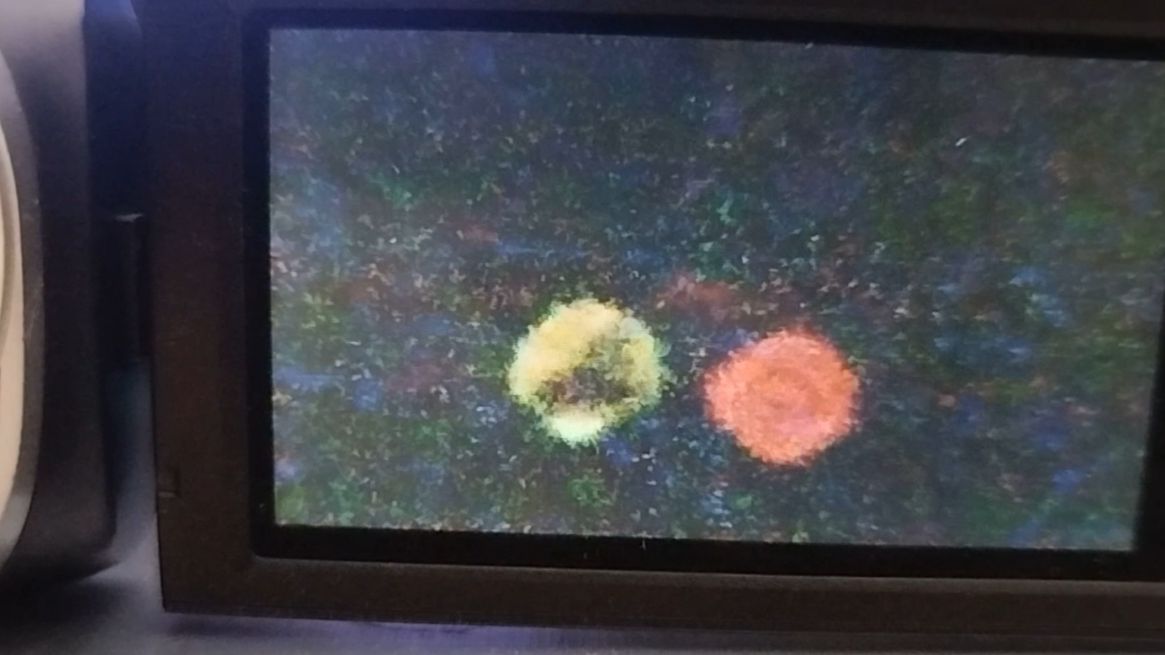 I 11 fois leur temps est plus rapide que le nôtre au travail parmi leurs autres  dimensions