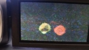 I) 11 fois, leur temps est plus rapide que le nôtre au travail parmi leurs autres  dimensions