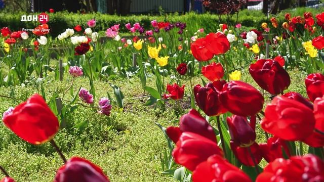 Экологическая традиция