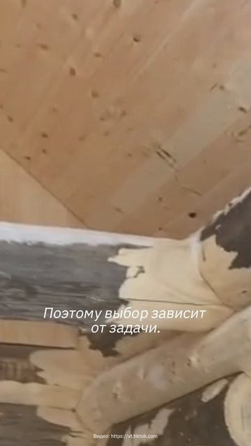 Сосна и осина