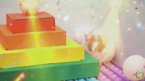 Приключения хомячка в игровом мире! 1