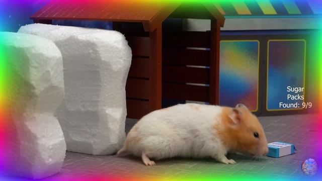 Приключения хомячка в игровом мире! 19