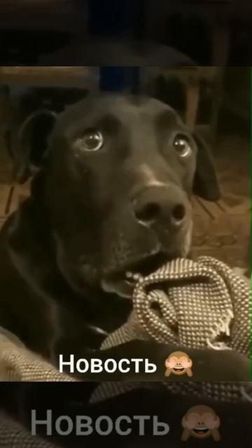 По глазам ясно уже, что он ничего не знает