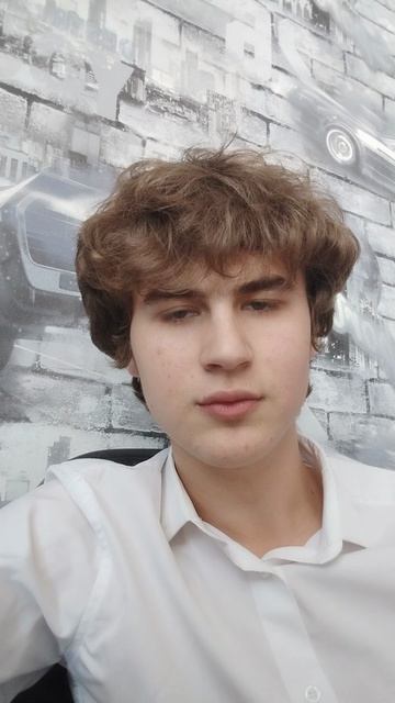 Лазарчук Родион НГУЭУ I конкурс СГУПС