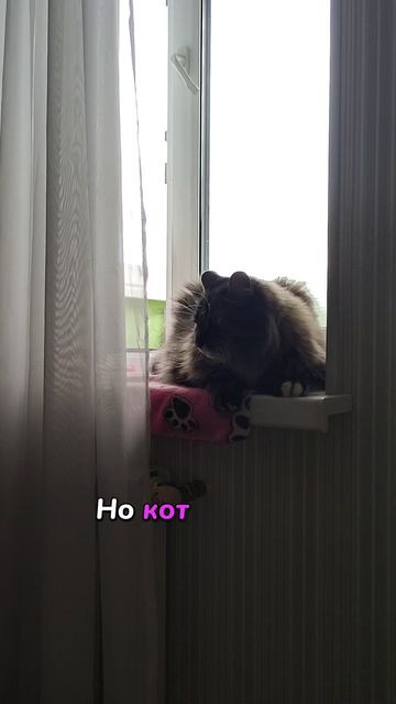 Пирожок со взглядом убийцы 