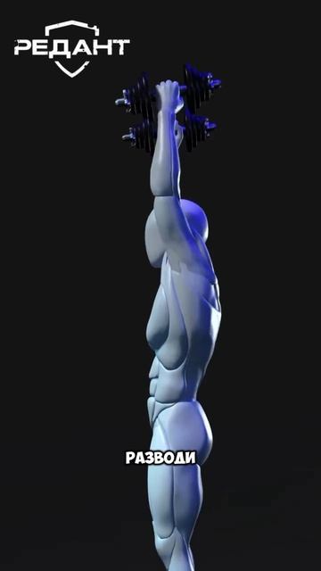 Хочешь сильные плечи без боли в спине?