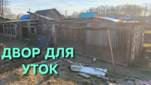 Уткам нужен простор Выгульный двор для уток почти готов