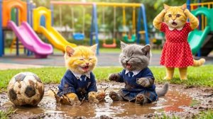 Рыжий котёнок играет в футбол под дождём и получает нагоняй от мамы-кошки 😱