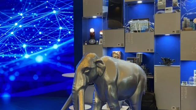 Санаторий Дубрава на Кавказском инвестиционном форуме 2026