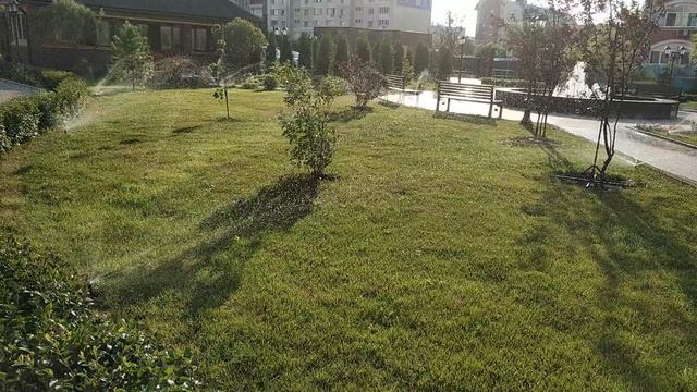 Система полива 6