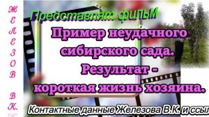 Пример неудачного сибирского сада. Результат-короткая жизнь хозяина.