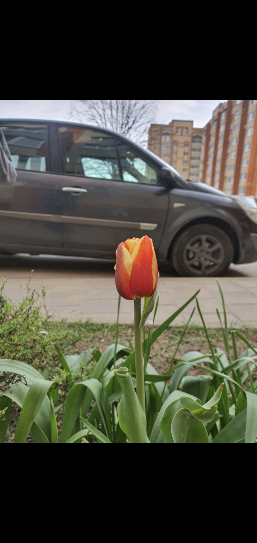 уже в школе