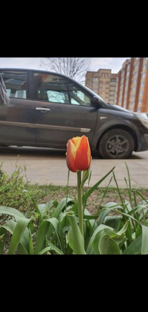 уже в школе