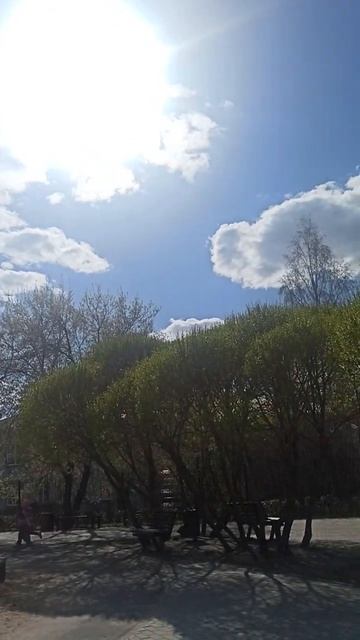 Какой хороший день! .mp4