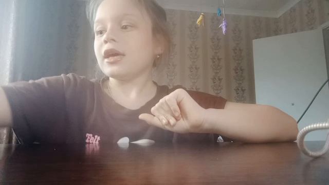 VID20260429174227.mp4