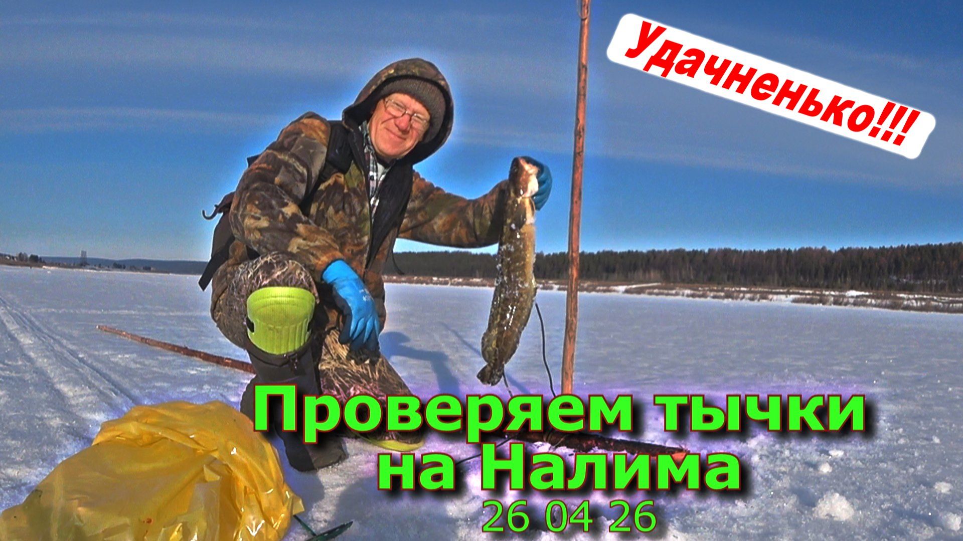 Проверяем тычки на Налима 26 04 26