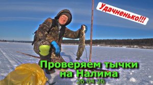 Проверяем тычки на Налима 26 04 26