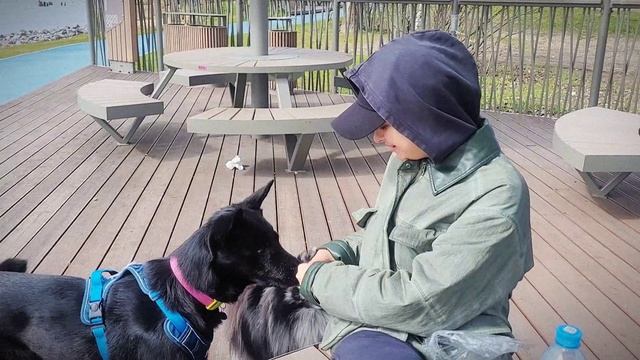 Lv_0_20250504140505[1]