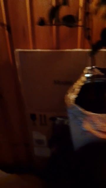 Наше любимое место отдыха