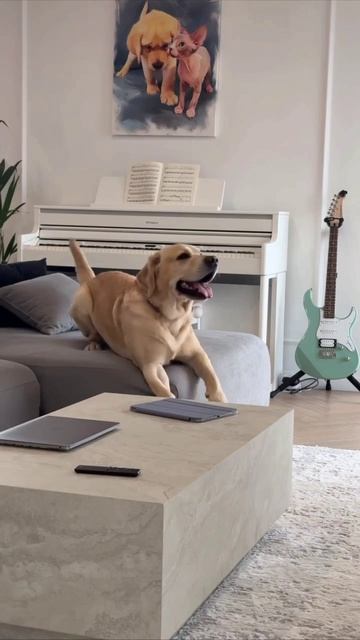 Айяйяй! 😁))