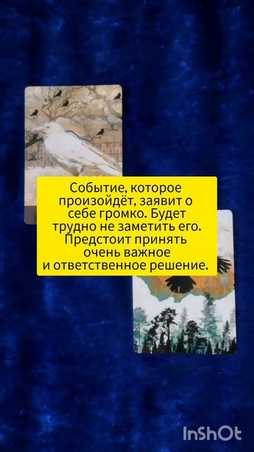 тест подсказка